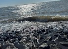 Wasser und Wellen