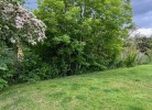 Blick in den Garten