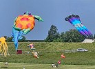 Drachenfest in Tossens