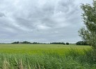 Natur pur