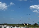 Drachenfest in Tossens