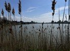 Natur pur am See