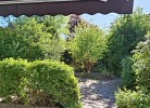 Blick in den Garte 