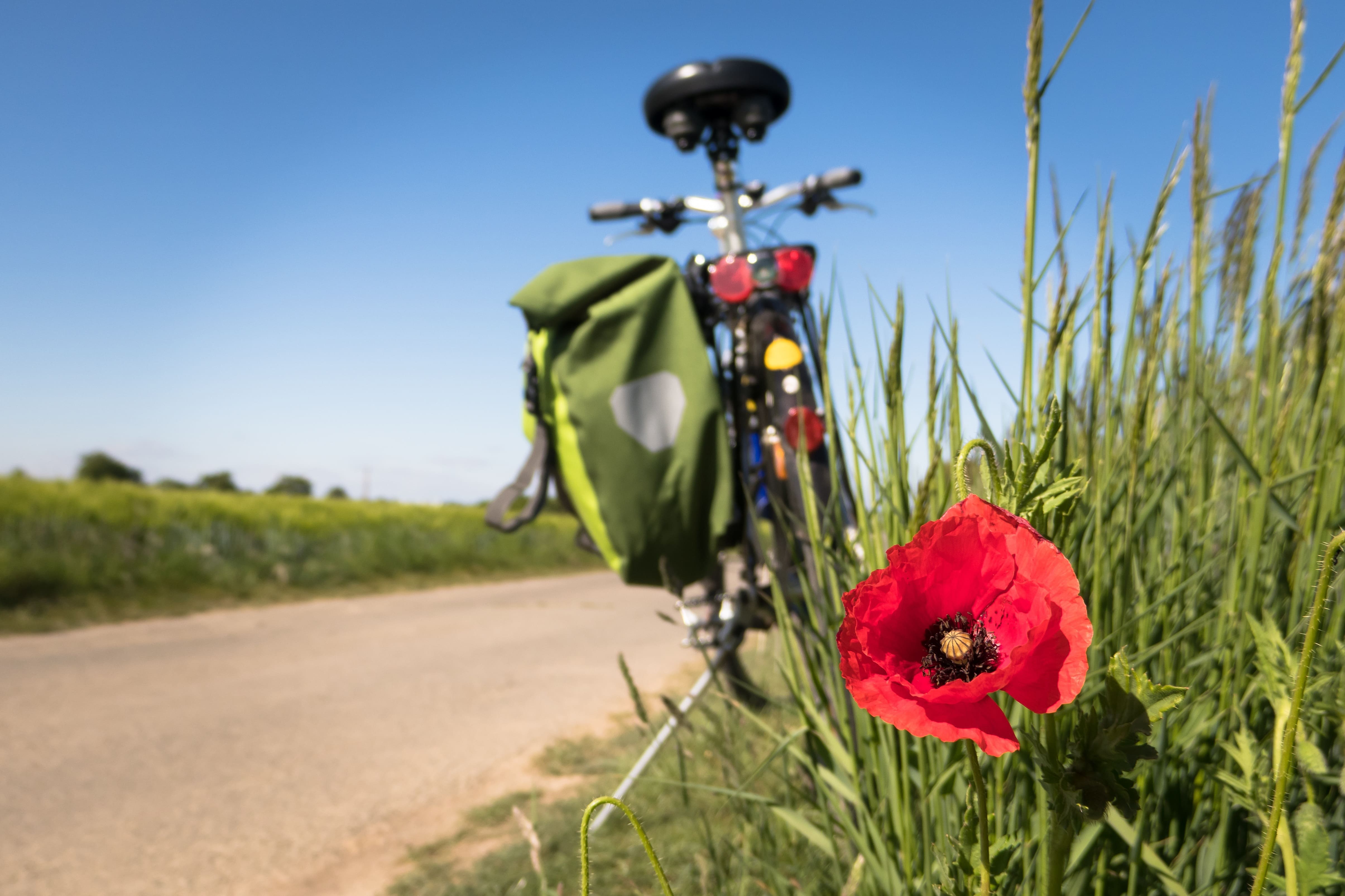 Frühling